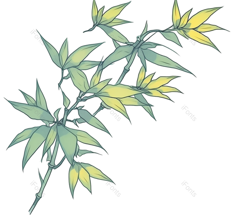 叶子图片,边框元素,纹理PNG,元素免抠素材